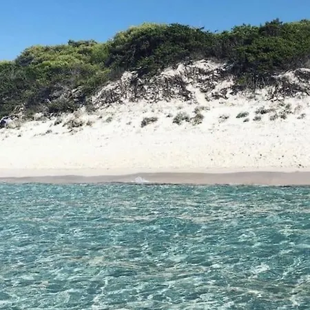 Luxury House With Pool - Lumio (Corsica)