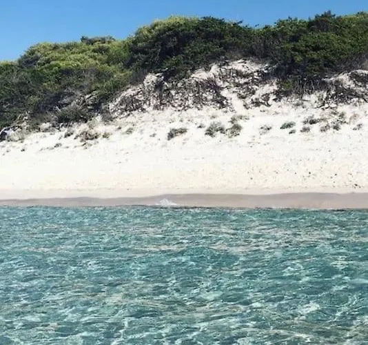 Luxury House With Pool - Lumio (Corsica)